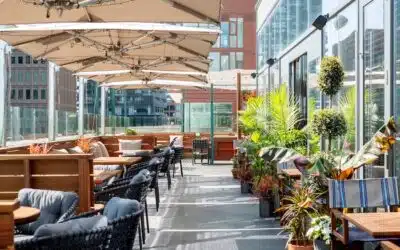 Raising the Rooftop Dining Experience